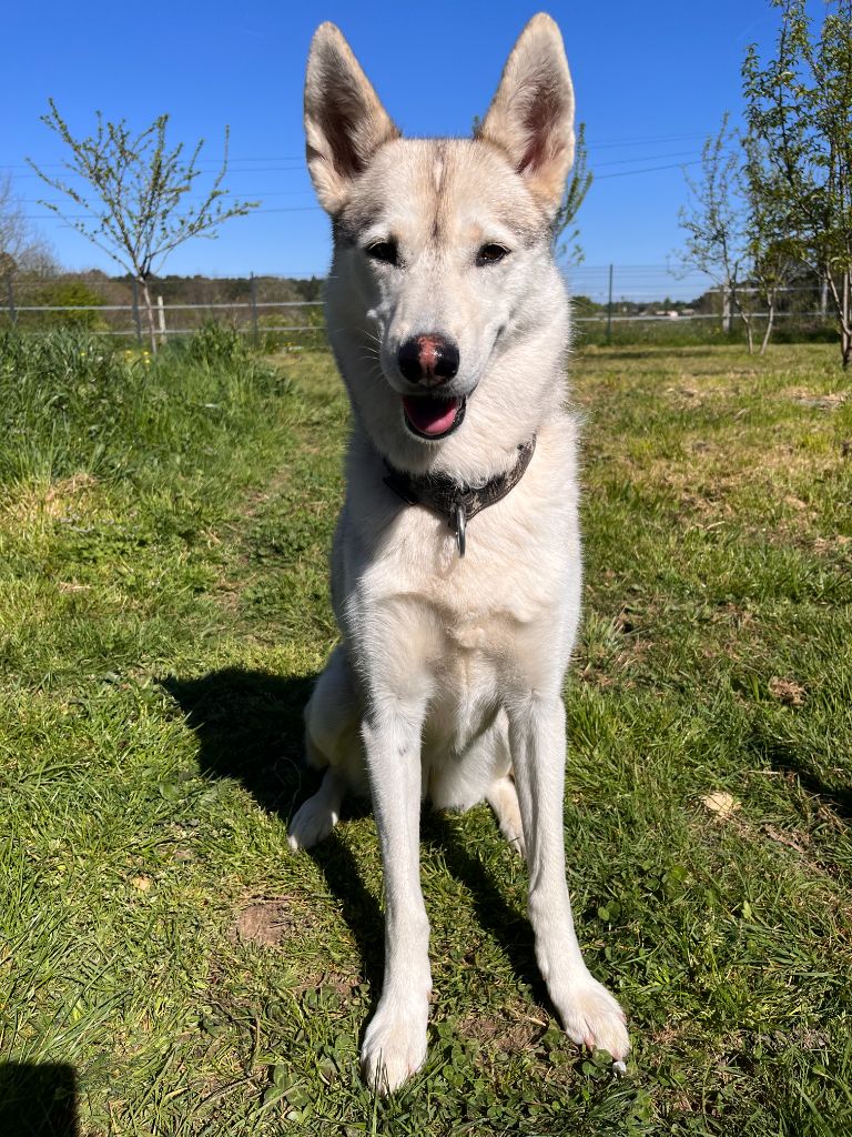 Ô nyx du Menez des Glaziks